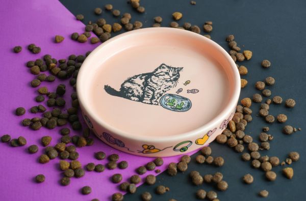 Comparer les meilleures croquettes pour chat : avis 2026